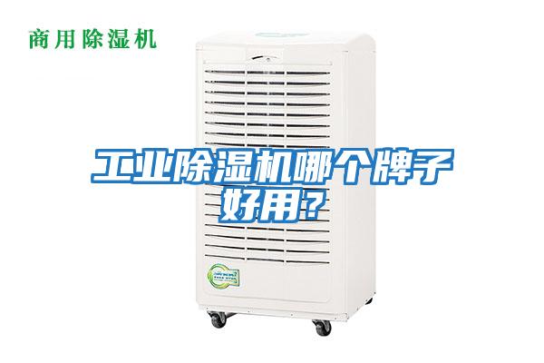 工業除濕機哪個牌子好用？