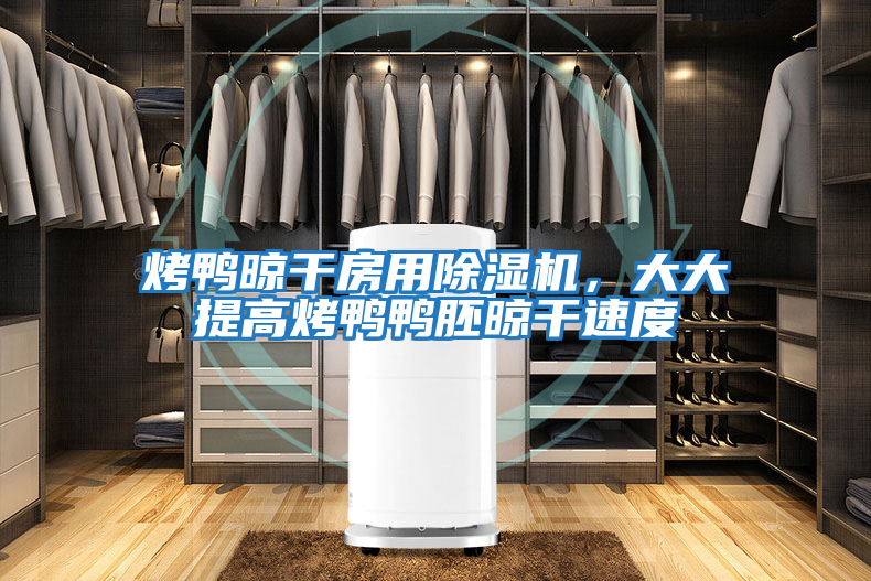烤鴨晾干房用除濕機(jī)，大大提高烤鴨鴨胚晾干速度