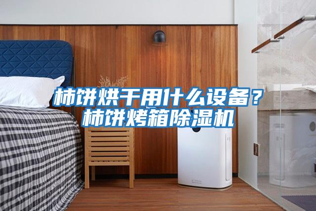 柿餅烘干用什么設(shè)備？柿餅烤箱除濕機(jī)