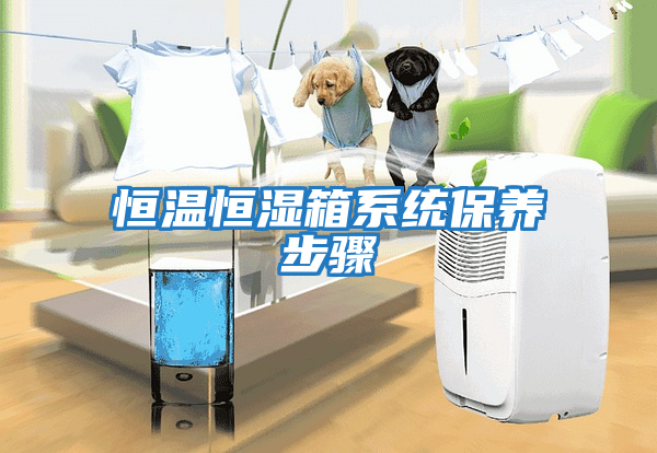 恒溫恒濕箱系統保養步驟