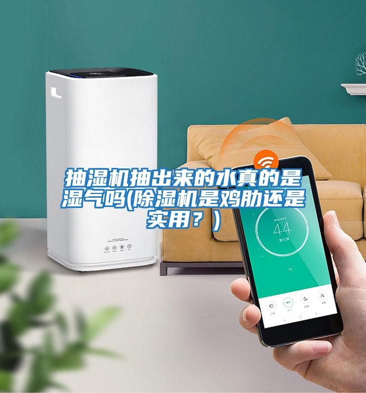 抽濕機抽出來的水真的是濕氣嗎(除濕機是雞肋還是實用？)