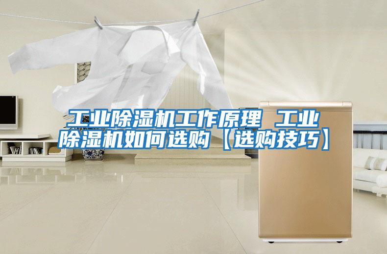 工業除濕機工作原理 工業除濕機如何選購【選購技巧】