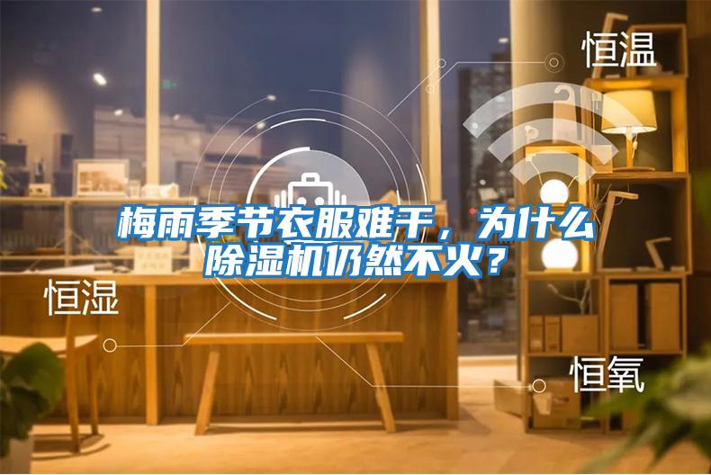 梅雨季節衣服難干，為什么除濕機仍然不火？