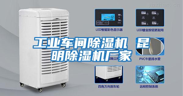 工業(yè)車間除濕機(jī) 昆明除濕機(jī)廠家