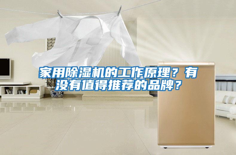 家用除濕機的工作原理？有沒有值得推薦的品牌？