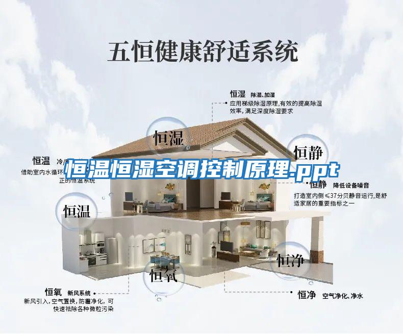 恒溫恒濕空調控制原理.ppt