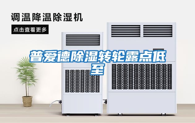 普愛德除濕轉輪露點低至