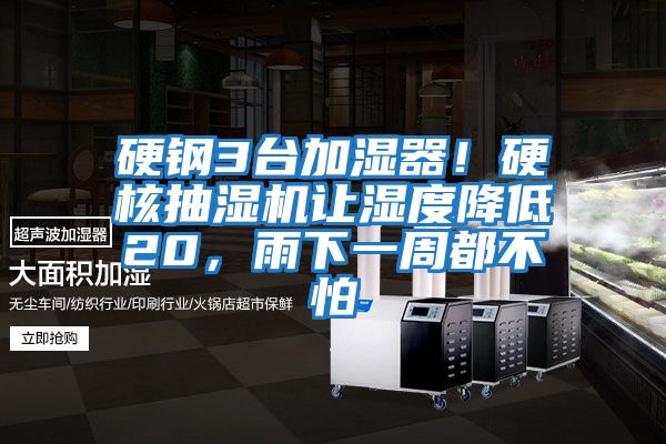 硬鋼3臺加濕器！硬核抽濕機讓濕度降低20，雨下一周都不怕