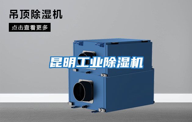 昆明工業除濕機