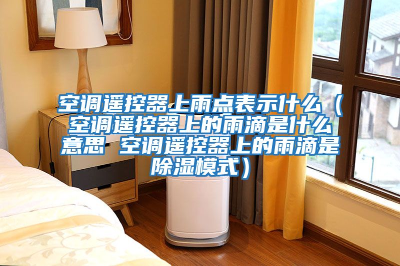 空調遙控器上雨點表示什么（空調遙控器上的雨滴是什么意思 空調遙控器上的雨滴是除濕模式）