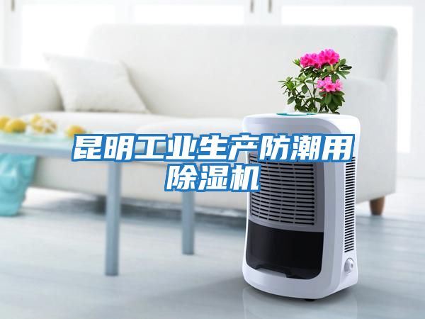 昆明工業生產防潮用除濕機