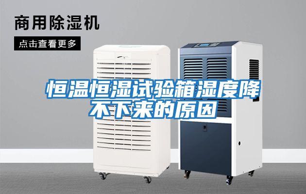 恒溫恒濕試驗(yàn)箱濕度降不下來的原因