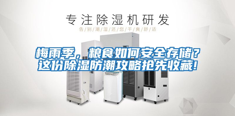 梅雨季，糧食如何安全存儲？這份除濕防潮攻略搶先收藏!