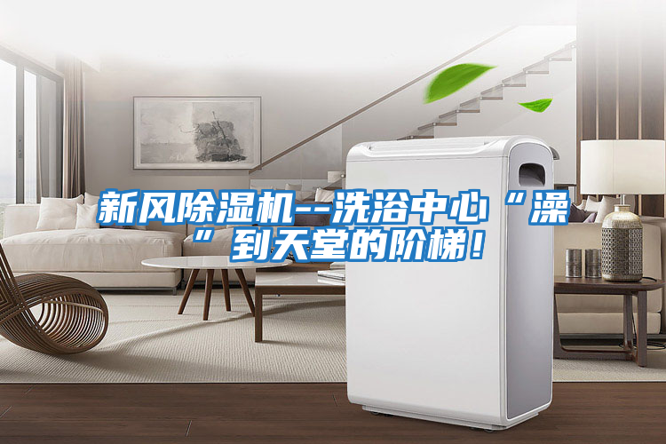 新風除濕機--洗浴中心“澡”到天堂的階梯！
