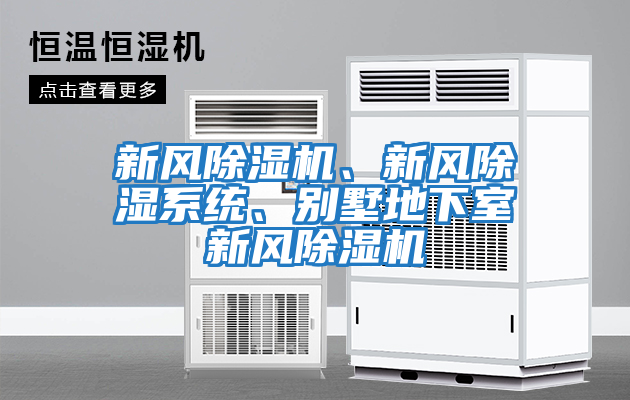 新風除濕機、新風除濕系統(tǒng)、別墅地下室新風除濕機