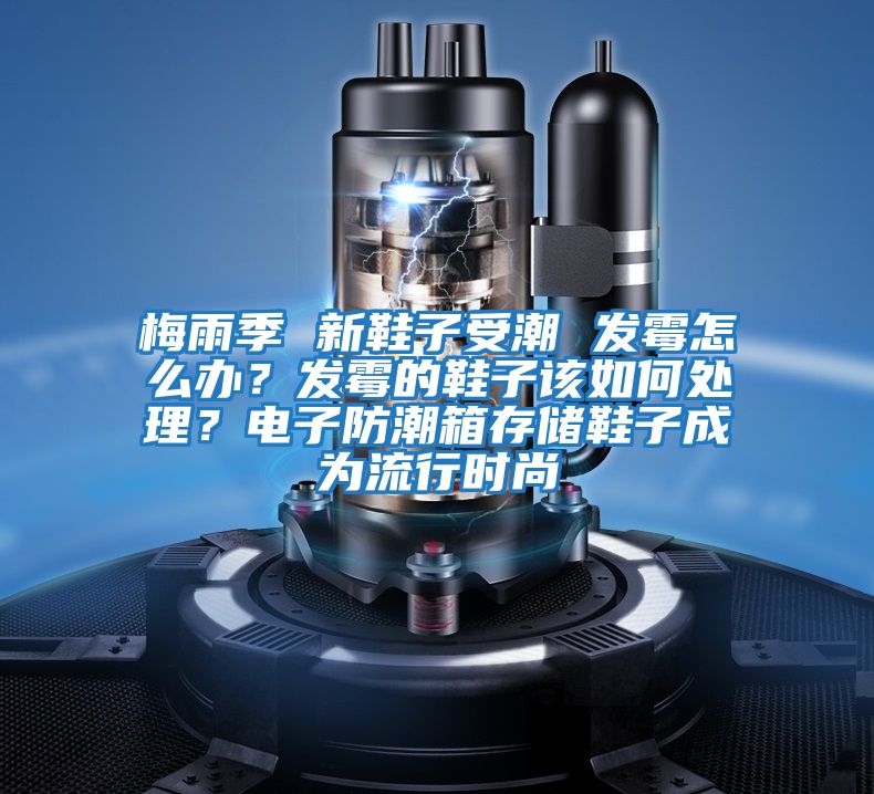 梅雨季 新鞋子受潮 發霉怎么辦？發霉的鞋子該如何處理？電子防潮箱存儲鞋子成為流行時尚