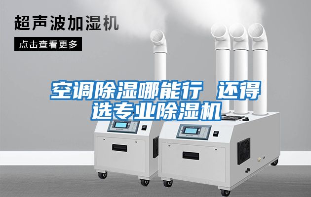 空調除濕哪能行 還得選專業除濕機
