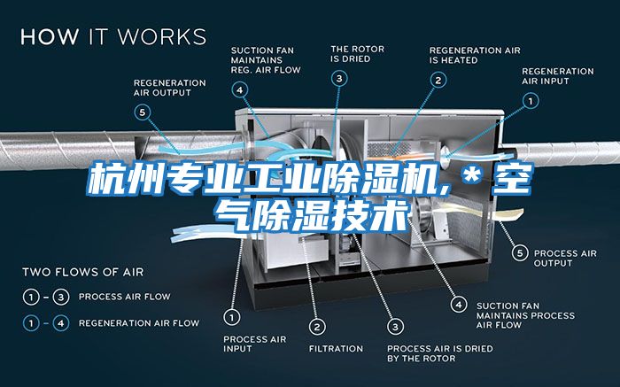 杭州專業工業除濕機,＊空氣除濕技術