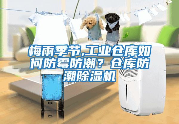 梅雨季節(jié),工業(yè)倉庫如何防霉防潮？倉庫防潮除濕機(jī)