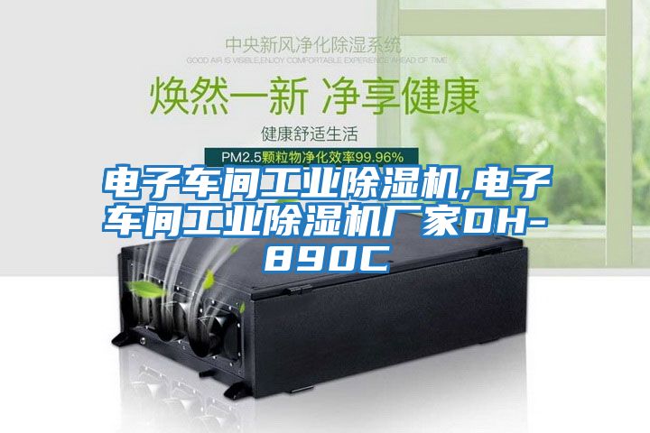 電子車(chē)間工業(yè)除濕機(jī),電子車(chē)間工業(yè)除濕機(jī)廠(chǎng)家DH-890C