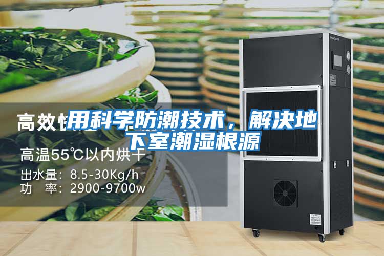 用科學防潮技術，解決地下室潮濕根源