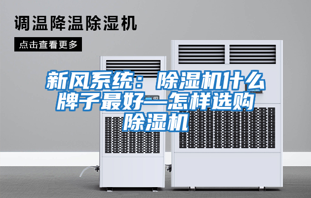 新風(fēng)系統(tǒng)：除濕機什么牌子最好—怎樣選購除濕機
