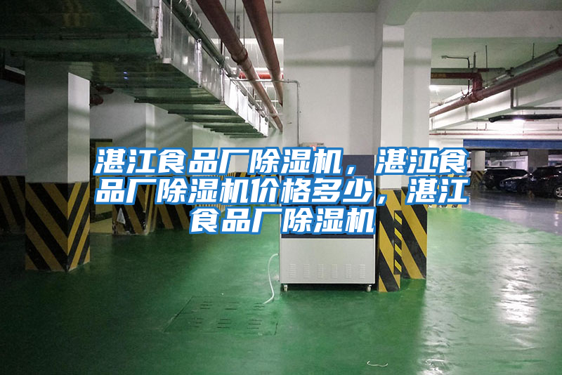 湛江食品廠除濕機(jī)，湛江食品廠除濕機(jī)價格多少，湛江食品廠除濕機(jī)