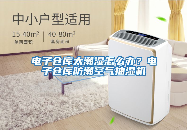 電子倉庫太潮濕怎么辦？電子倉庫防潮空氣抽濕機