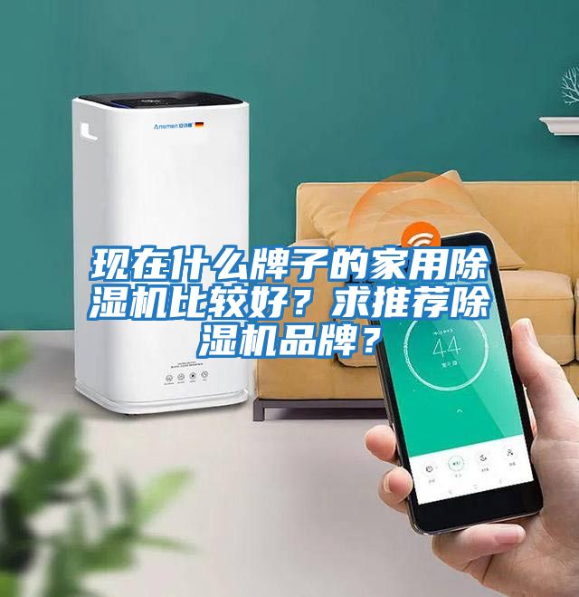 現(xiàn)在什么牌子的家用除濕機比較好？求推薦除濕機品牌？