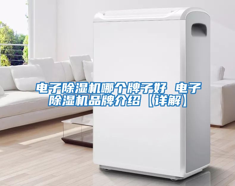 電子除濕機(jī)哪個牌子好 電子除濕機(jī)品牌介紹【詳解】