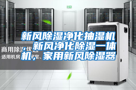 新風除濕凈化抽濕機，新風凈化除濕一體機，家用新風除濕器