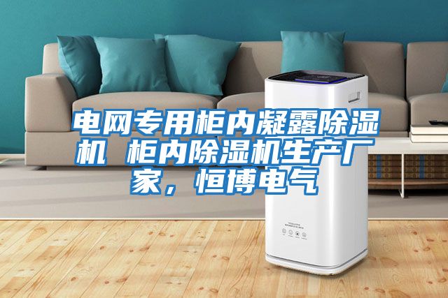 電網(wǎng)專用柜內(nèi)凝露除濕機(jī) 柜內(nèi)除濕機(jī)生產(chǎn)廠家，恒博電氣