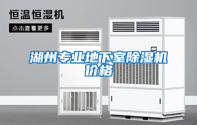 湖州專業地下室除濕機價格
