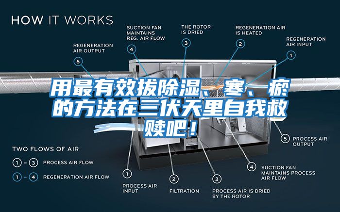 用最有效拔除濕、寒、瘀的方法在三伏天里自我救贖吧！