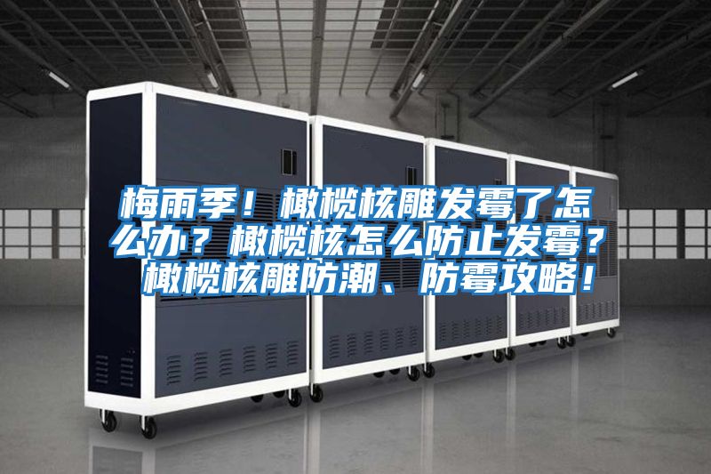 梅雨季！橄欖核雕發霉了怎么辦？橄欖核怎么防止發霉？ 橄欖核雕防潮、防霉攻略！