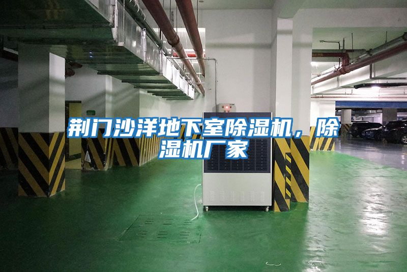 荊門沙洋地下室除濕機，除濕機廠家