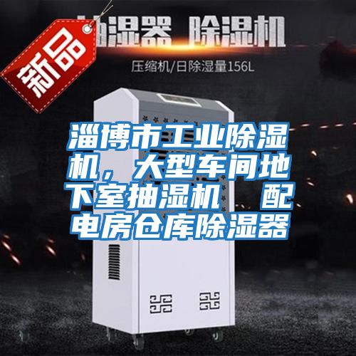 淄博市工業(yè)除濕機(jī)，大型車間地下室抽濕機(jī)  配電房倉(cāng)庫(kù)除濕器