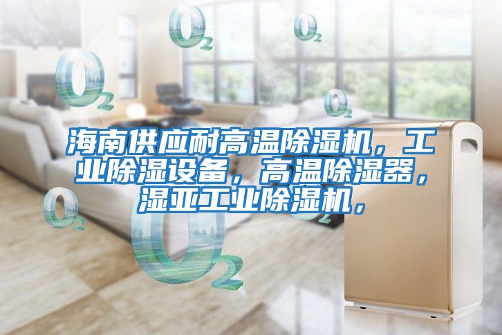 海南供應耐高溫除濕機，工業除濕設備，高溫除濕器，濕亞工業除濕機，