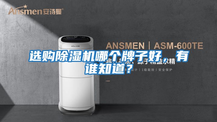 選購除濕機(jī)哪個牌子好，有誰知道？