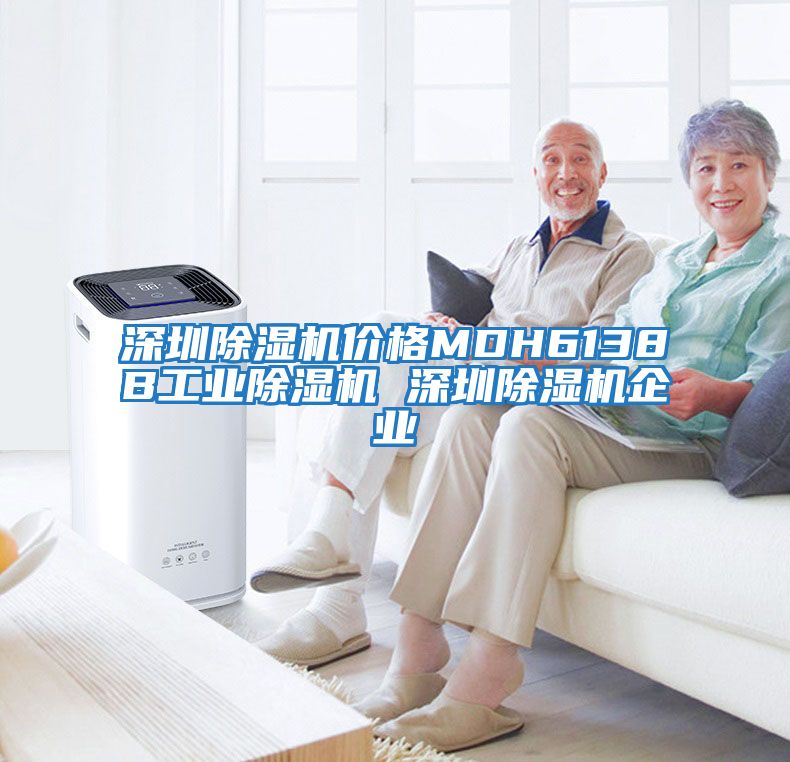 深圳除濕機價格MDH6138B工業除濕機 深圳除濕機企業