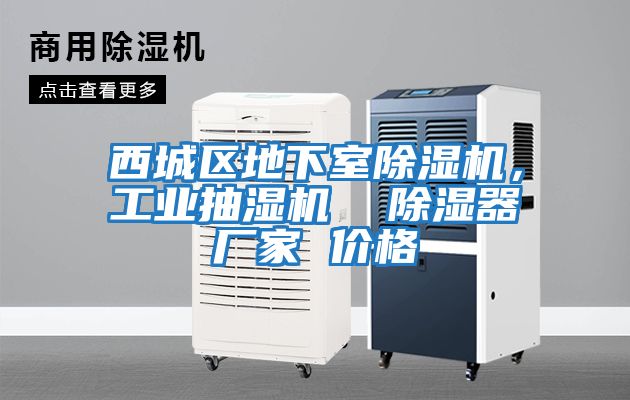 西城區地下室除濕機，工業抽濕機  除濕器廠家 價格