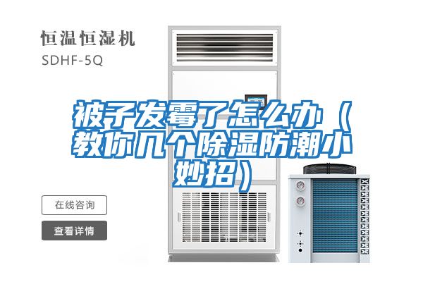 被子發霉了怎么辦（教你幾個除濕防潮小妙招）