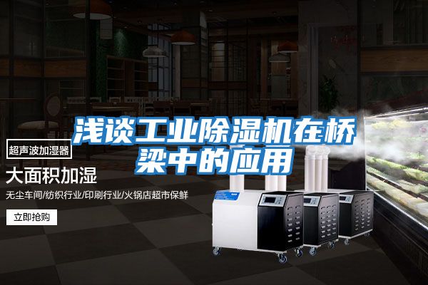 淺談工業(yè)除濕機在橋梁中的應用