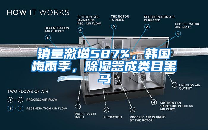 銷量激增587%，韓國梅雨季，除濕器成類目黑馬