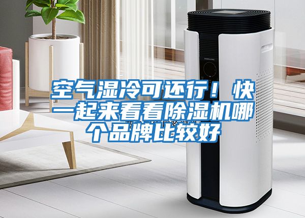 空氣濕冷可還行！快一起來看看除濕機(jī)哪個(gè)品牌比較好