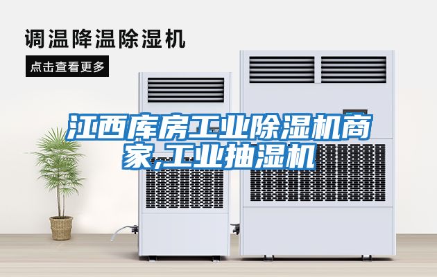 江西庫房工業(yè)除濕機(jī)商家,工業(yè)抽濕機(jī)