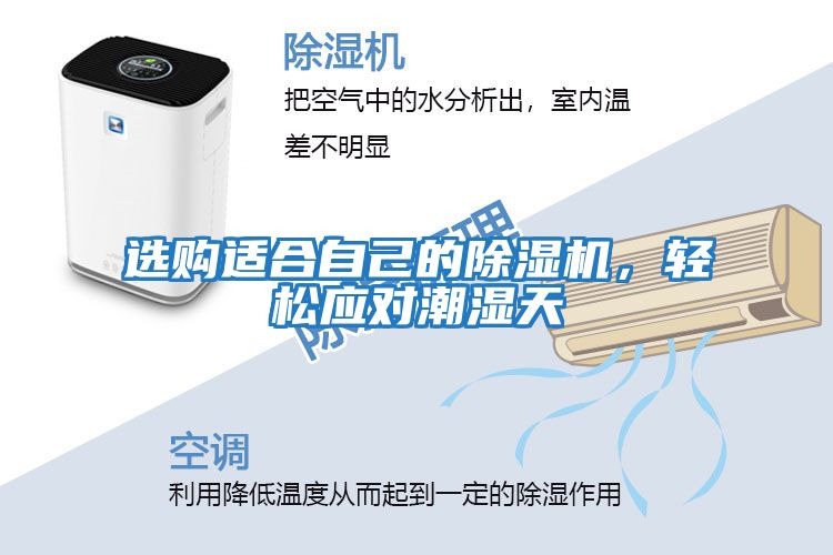 選購適合自己的除濕機(jī)，輕松應(yīng)對潮濕天
