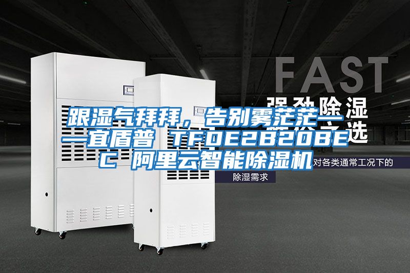 跟濕氣拜拜，告別霧茫?！硕芷?TFDE2B20BEC 阿里云智能除濕機