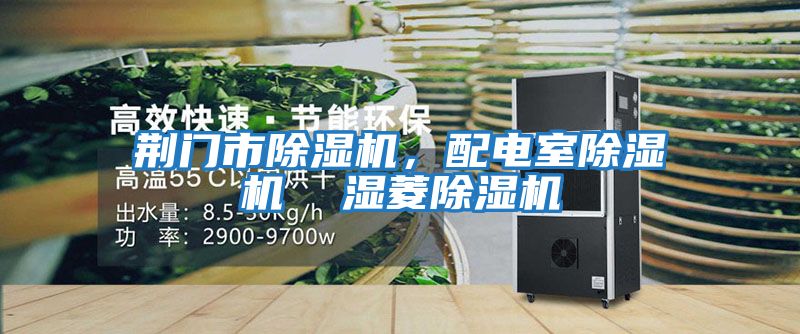 荊門市除濕機(jī)，配電室除濕機(jī)  濕菱除濕機(jī)