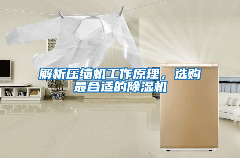 解析壓縮機(jī)工作原理，選購(gòu)最合適的除濕機(jī)